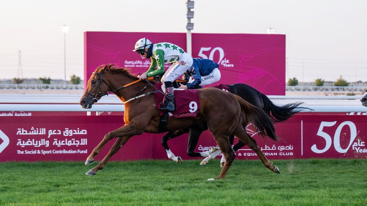 RM 40  Al Uqda Race 5 -   Al Arish Cup