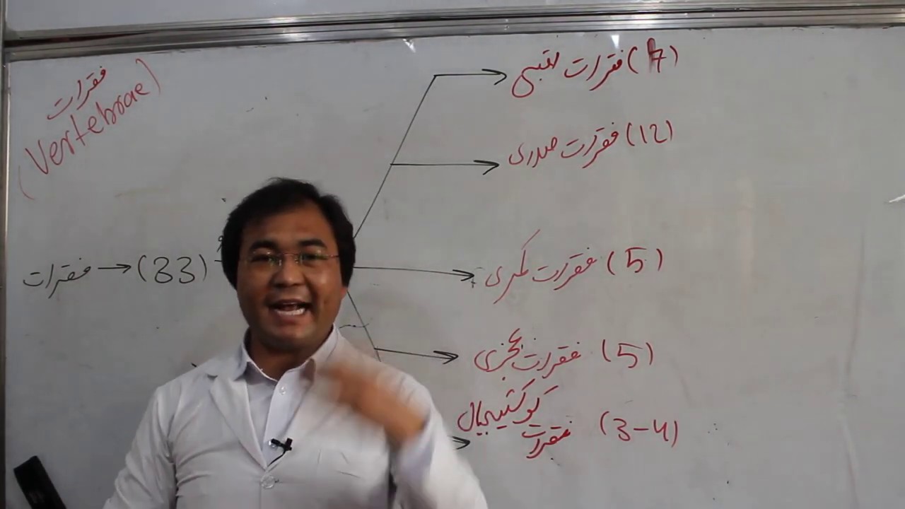 Anatomy| Back| Regional anatomy of the Back| lecture 16| اناتومی موضعی پشت