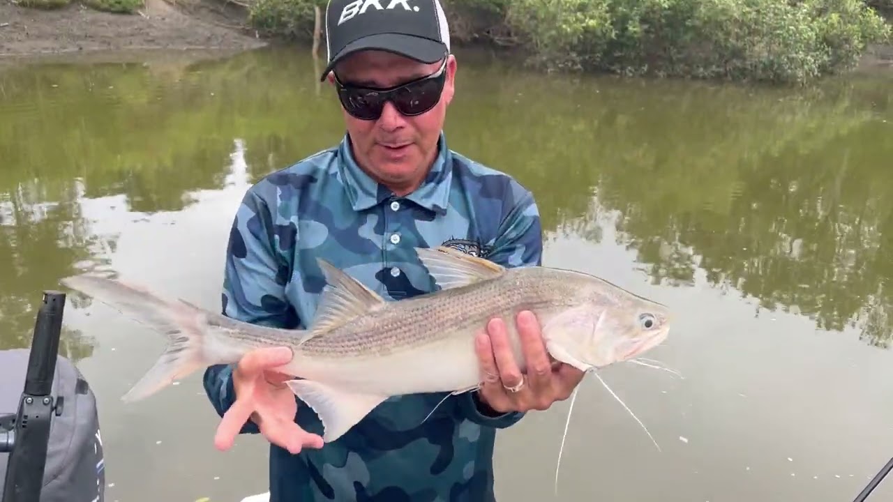 Chasing King Salmon - Part 3