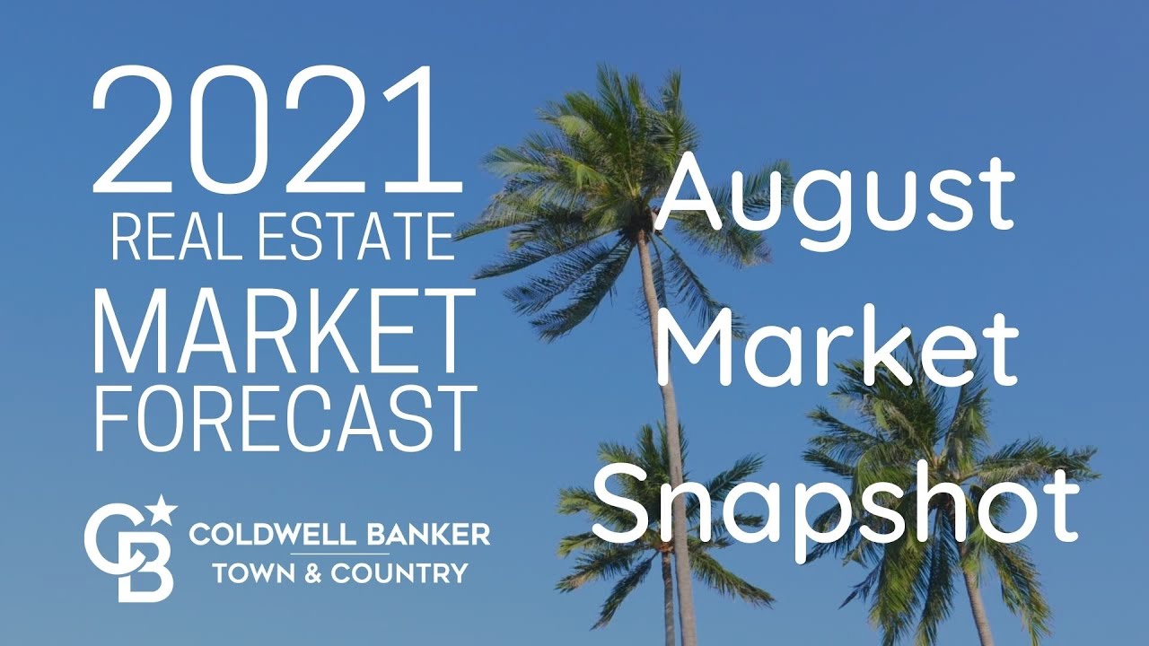Lance Martin Presents - August 2021 Market Snapshot