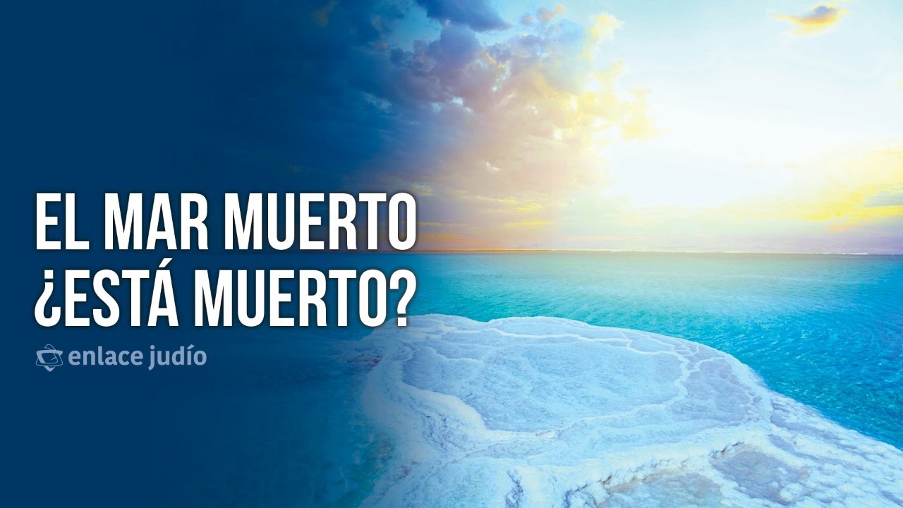 El Mar Muerto... &iquest;est&aacute; muerto?