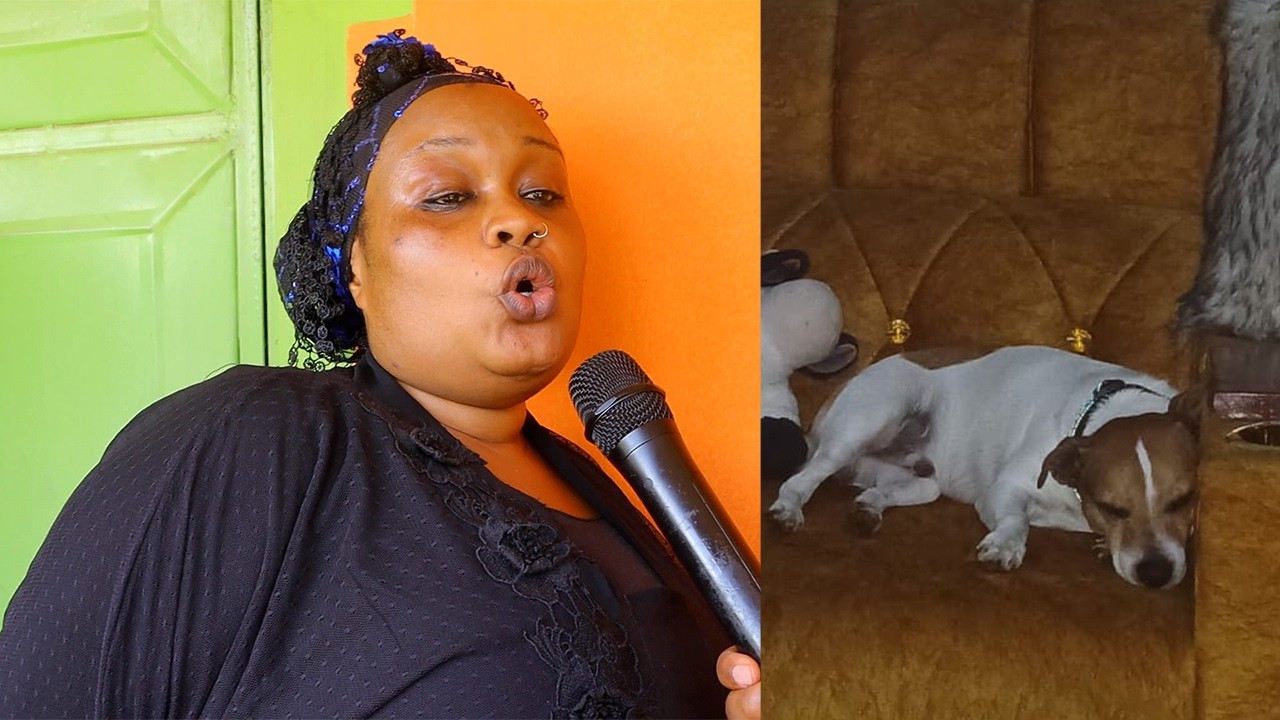 KIJANA ARUSHA AINGIA MATATANI ASHIKILIWA BAADA YA KUMPOTEZA MBWA WA 'MZUNGU' DAU LAKI 5 ATAKAYEMUONA