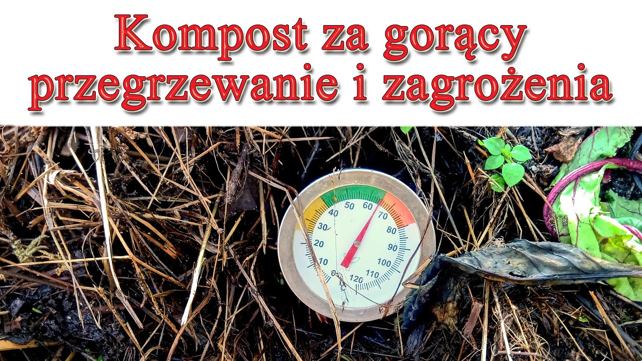Kompost za gorący - przegrzanie i zagrożenia dla kompostu - Kompost 1