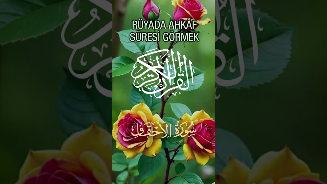Rüyada Duhân, Câsiye, Ahkâf, Muhammed, Fetih, Hucûrât, Kâf Sûrelerini Görmek | Dini Rüya Tabirleri