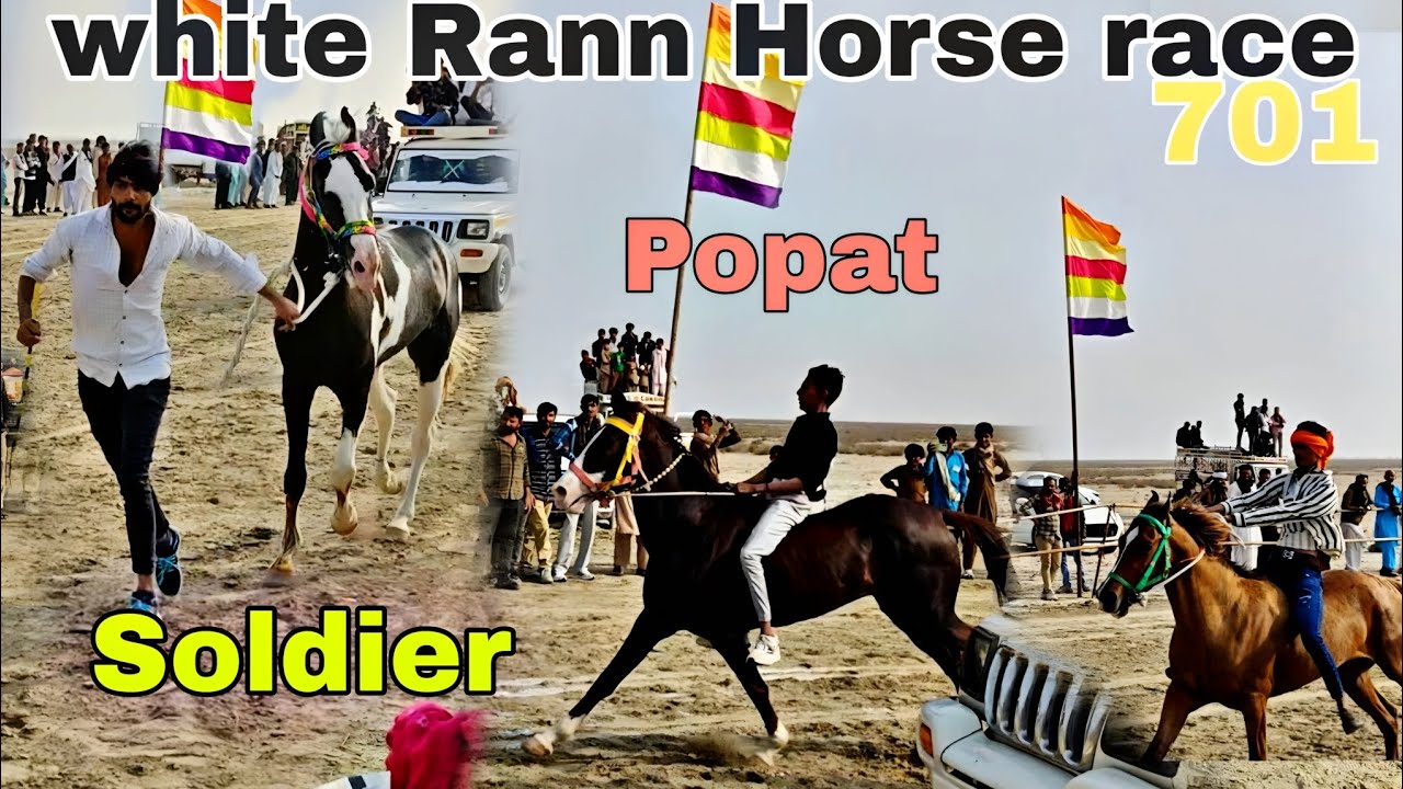 Kutch Horse race in white Rann (Dhordo) : Soldier & Popat & 701