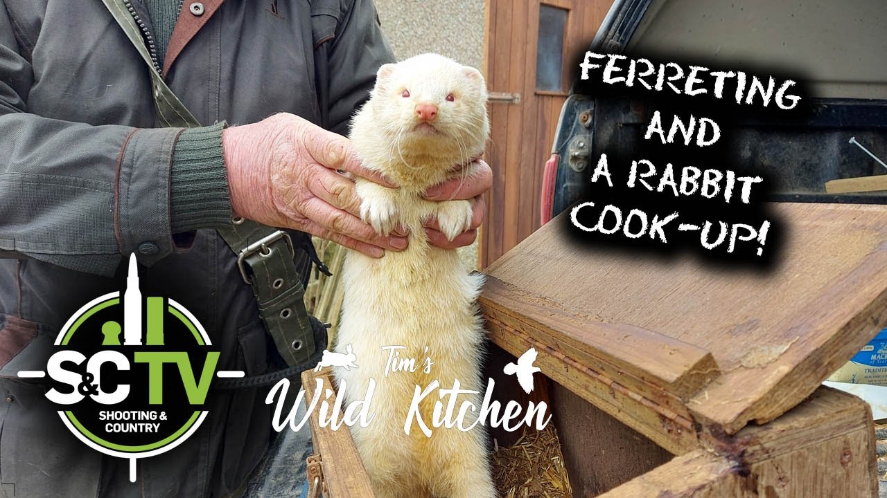 S&C TV | Tim's Wild Kitchen 10 | Ferreting for rabbits + rabbit recipe cook-up!