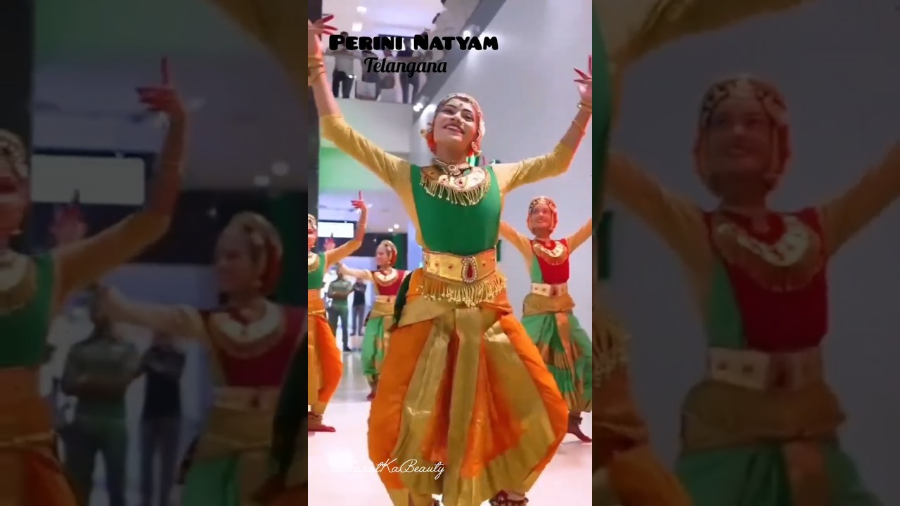 The Beauty of Indian Folk Dances❤️ Part 3 