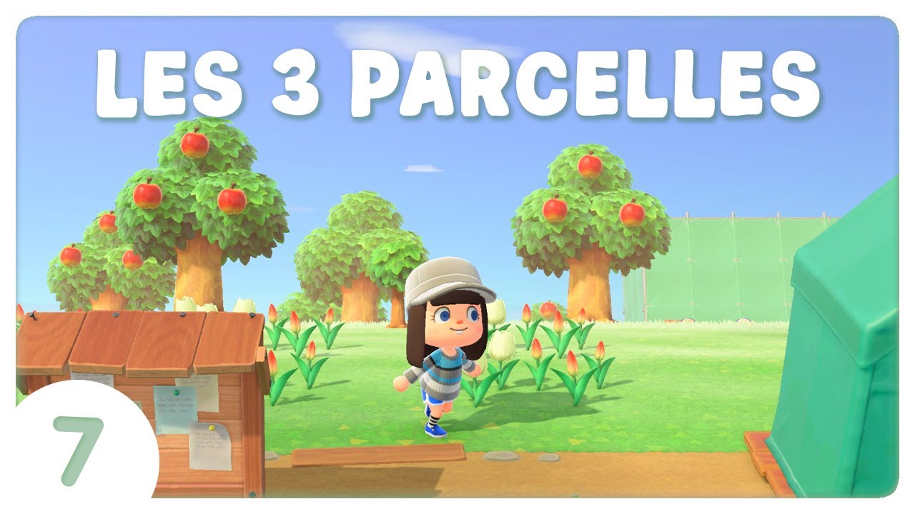 🏡 Les 3 parcelles ! #7 | Animal Crossing New Horizons