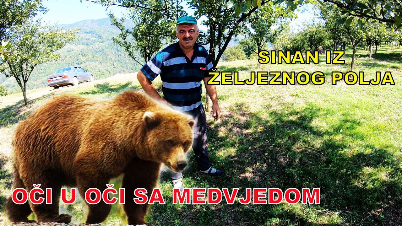KAKO SE SINAN IZ ŽELJEZNOG POLJA  BORIO 3 SATA SA MEDVJEDOM