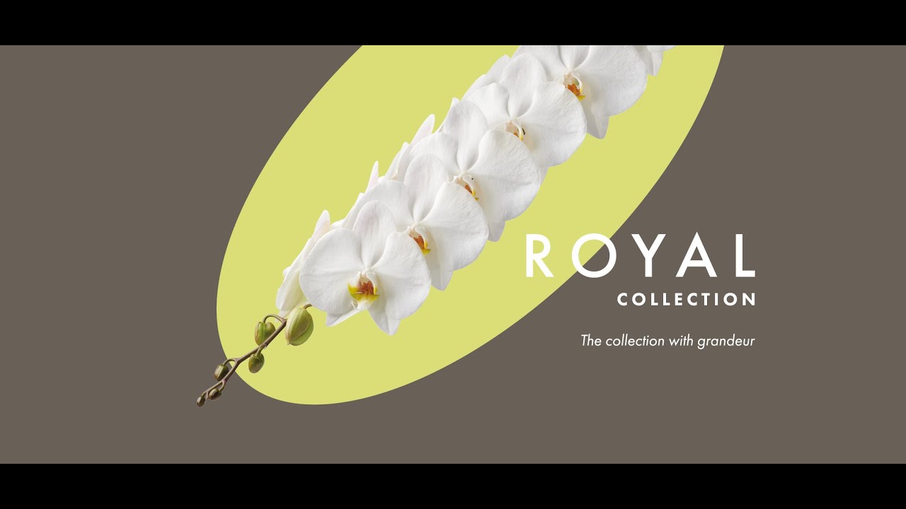 Opti-flor Royal Collection