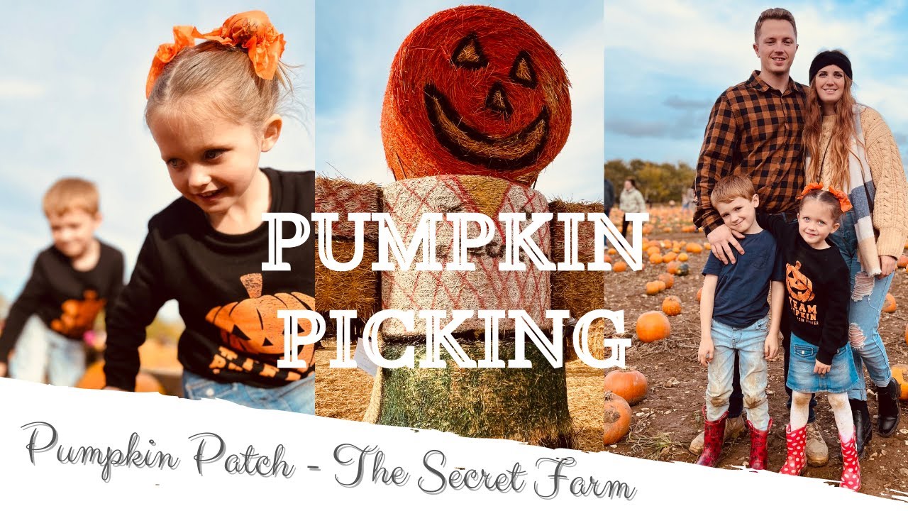PUMPKIN PICKING | The Secret Patch | The Secret Farm
