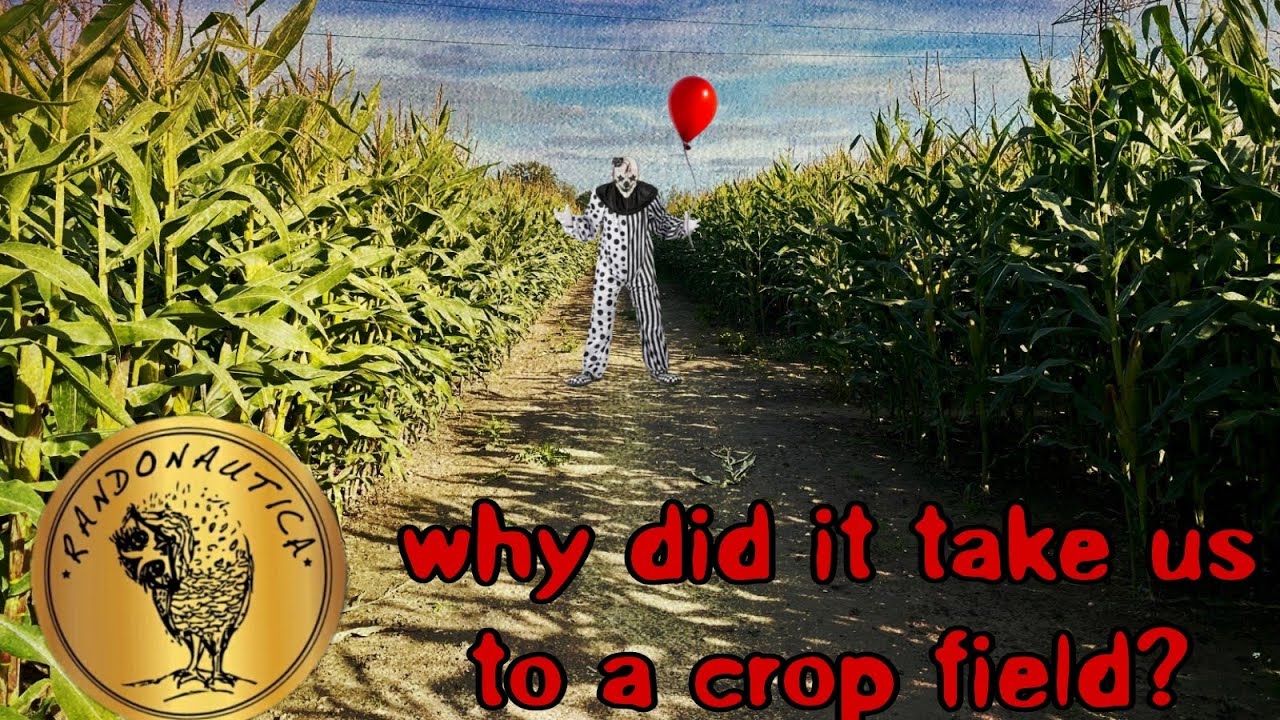 Played Randonautica and WHAT DID WE FIND #randonautica #randonauticaapp