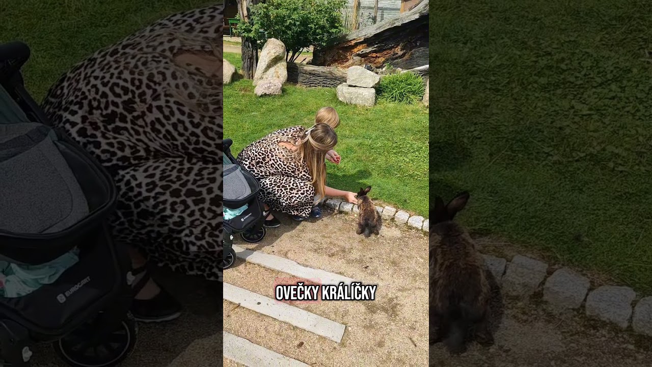 Kontaktn&iacute; Zoo 🐰 Nedaleko hranic v Polsku #polsko #vylet #tipnavylet #krmenizviratek #zazitek #zoo