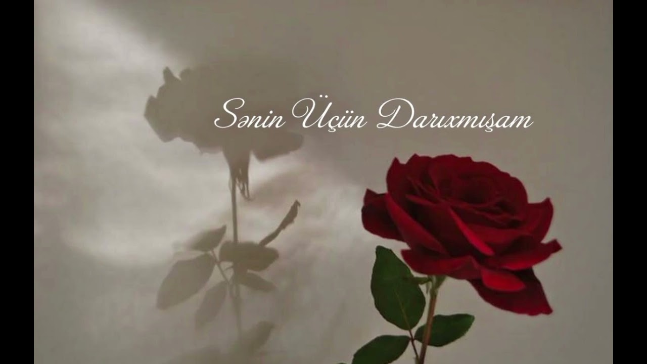 Sənin üçün darıxmışam ❤️🌹