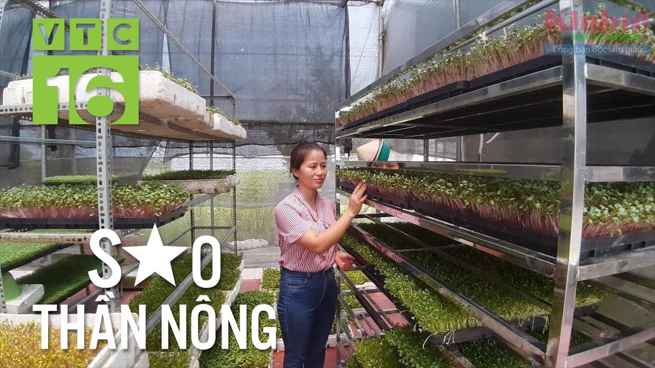 Nữ tỷ phú biến đất hoang thành vàng | VTC16