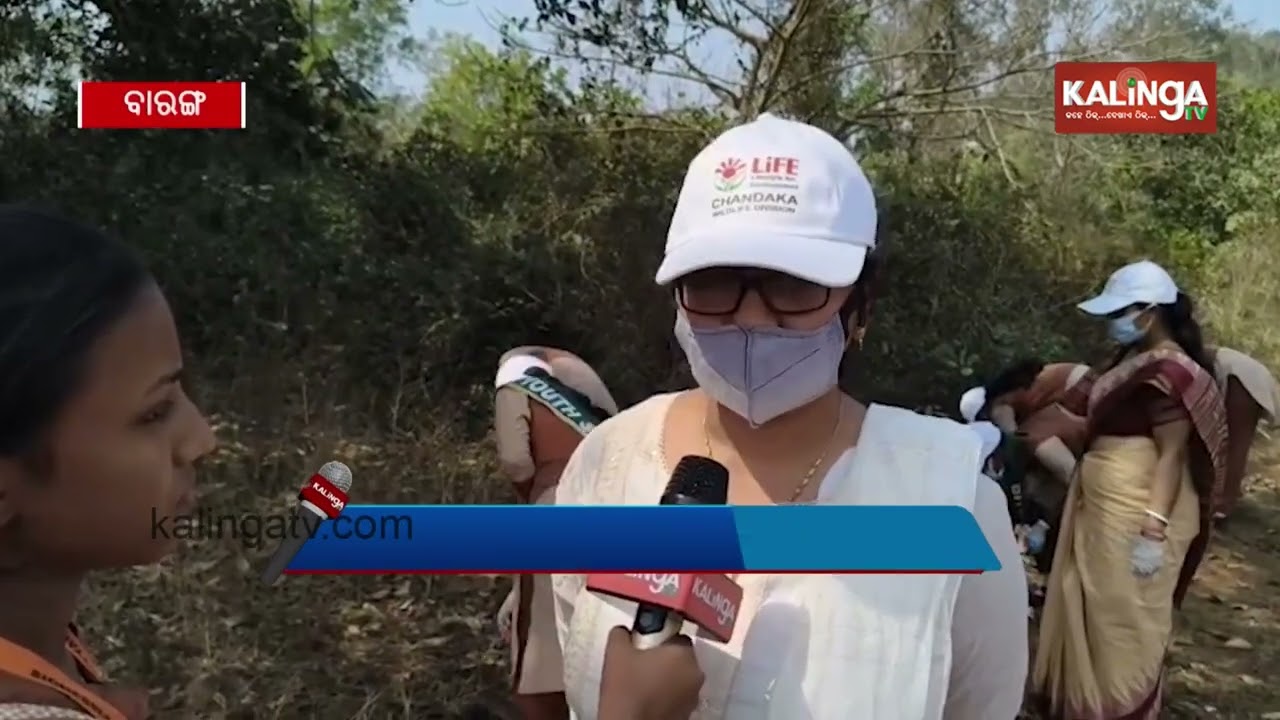 Plastic-Free Rally Organized in Naraj to Promote Environmental Awareness | Kalinga TV