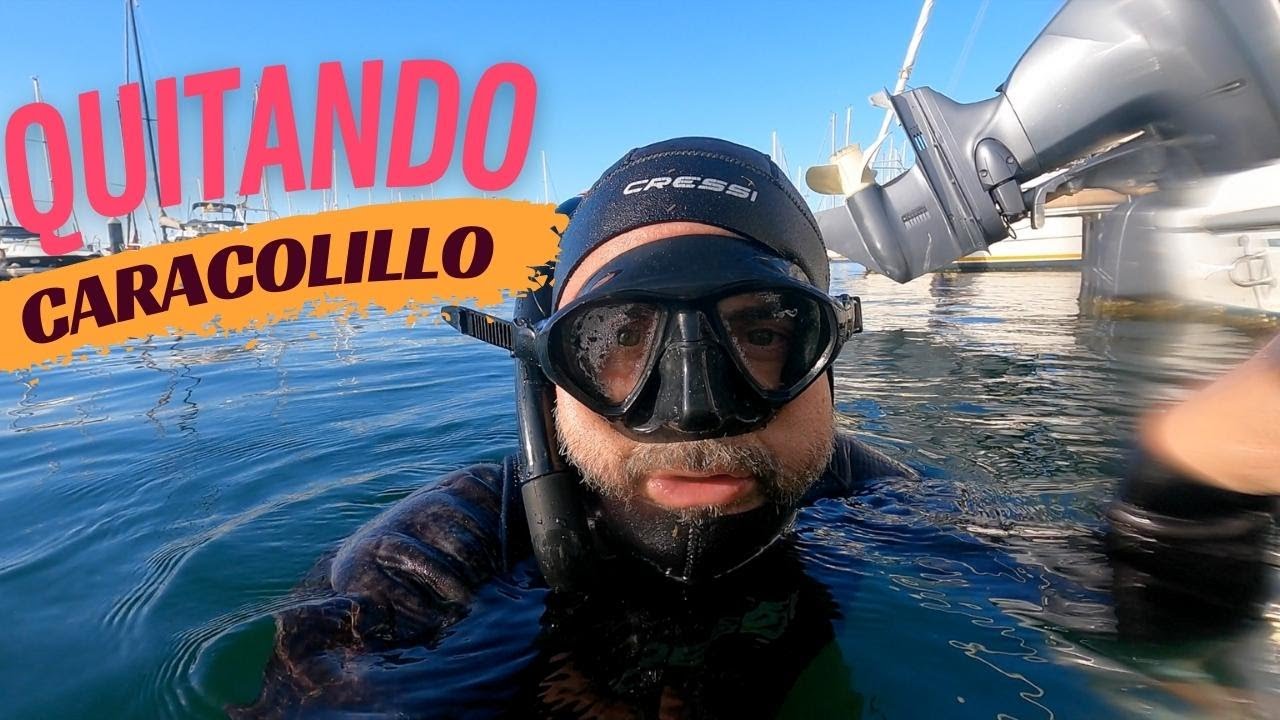 La manera más barata de quitar el alga y el caracolillo de la obra viva - EP03