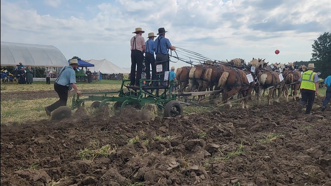 Horse Progress Days 2025... 12 Horse Hitch pulling a 4 bottom plow