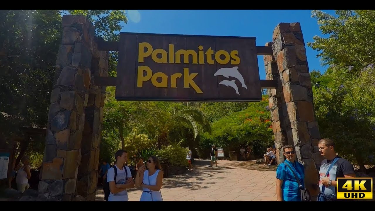 Palmitos Park Gran Canaria (Maspalomas) / Papageienshow Delfinshow Adlershow