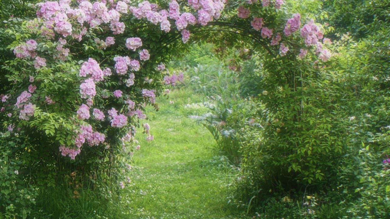 a playlist for a quiet and comfort morning🫕 (relaxing, studying & reading)