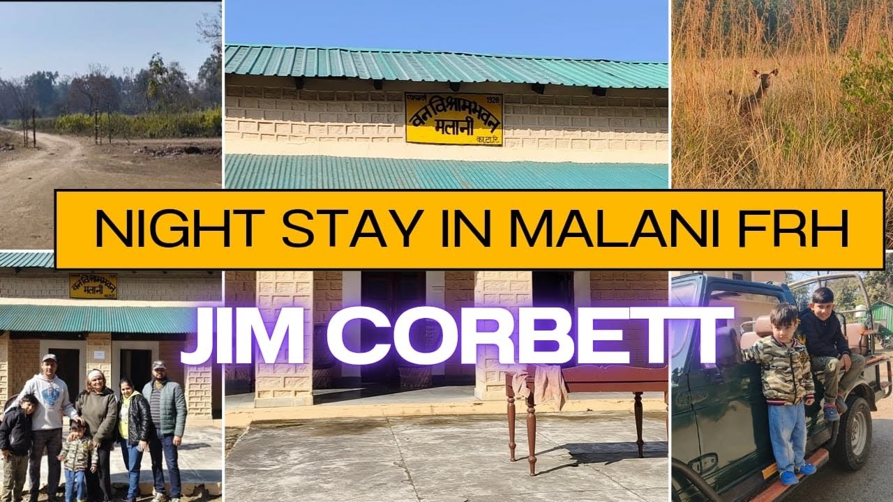 Night stay in Malani | Bijrani zone | jim corbett.... #travel#vlog#wildlife#nature#animals#corbett 