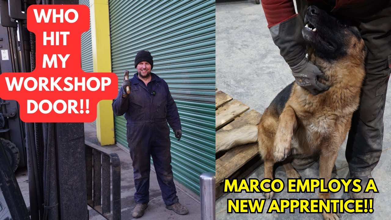WORKSHOP WEDNESDAY EPISODE 119...NEW DOG APPRENTICE BUDDY