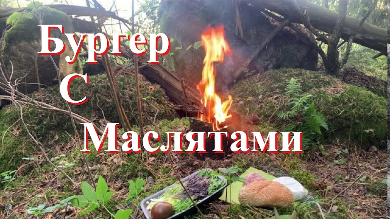 ОДИН в ЛЕСу /Одиночный поход/хороший день для поиска опят/бургер в лесу/печка щепочница с AliExpres