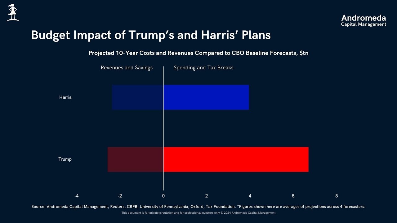 Andromeda Capital Management | Credit Webcast | November 2024: Fiscal Dominance