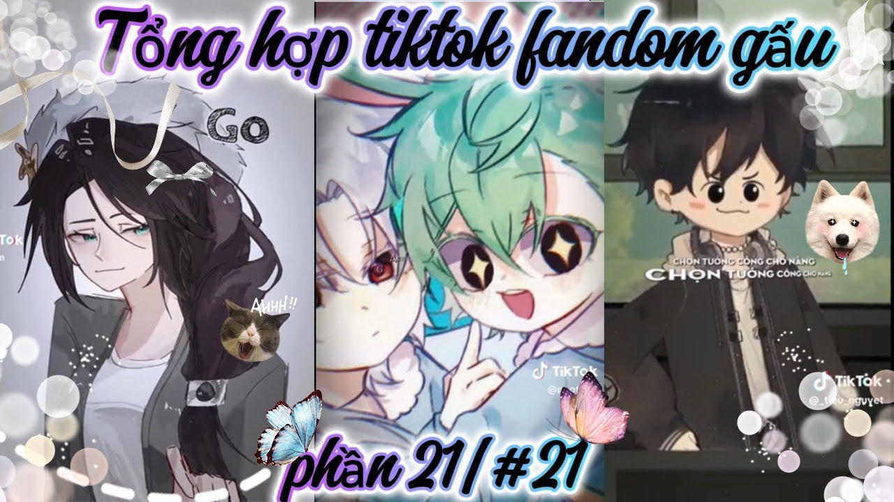 Tổng hợp tiktok fandom gấu phaanf21 (có otp) ||cre trong vid|| #fandomgau #xuhướng #trending #fandom