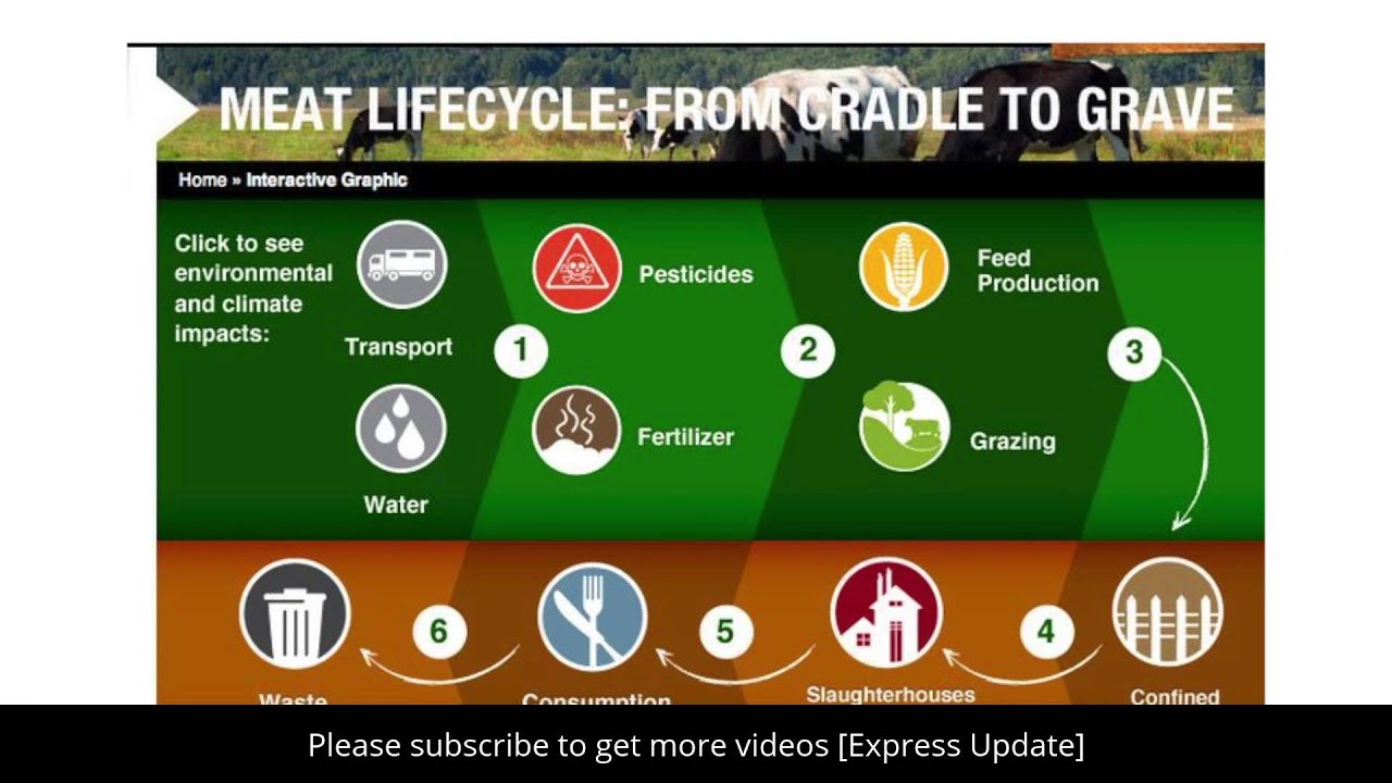 Life Cycle Assessment and Greenhouse Gas Emissions From Animal Agricuture