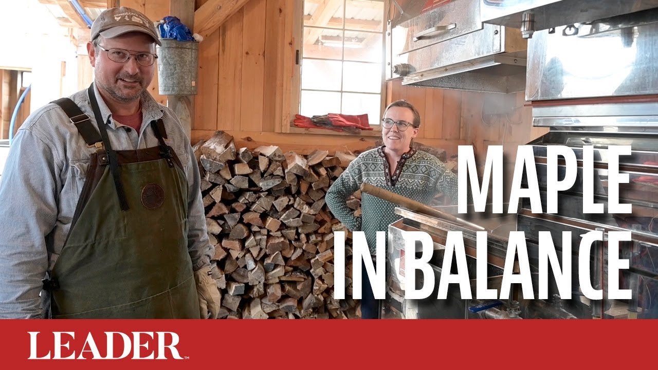 Maple in Balance
