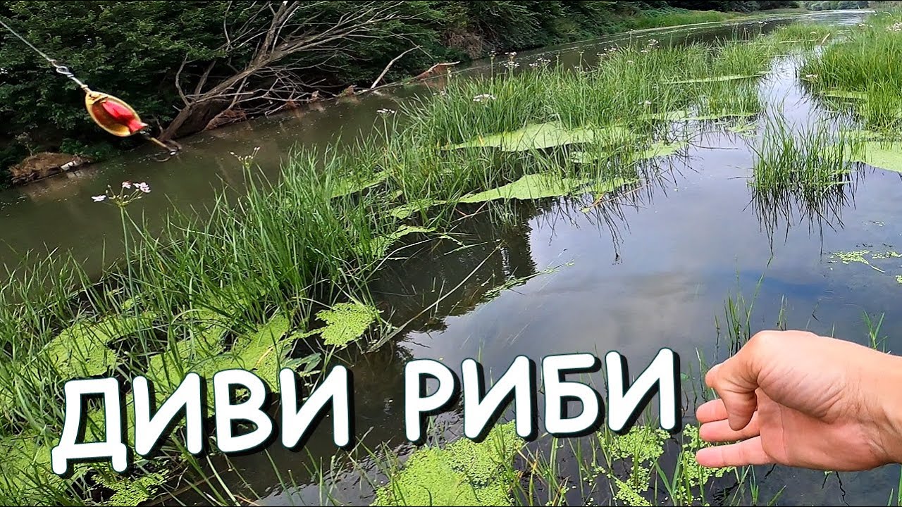 РИБОЛОВ на ДИВИ РИБИ - ОГРОМЕН РАСПЕР СКОЧИ пред ВЪДИЦАТА ми / FISHING for WILD FISH/Речная рыбалка
