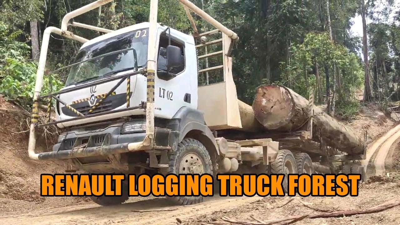 RENAULT LOGGING TRUCK KERAK 440 DXI | Timber Trucks Forest
