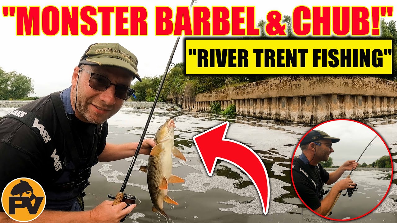 River Trent, Barbel and Chub fishing