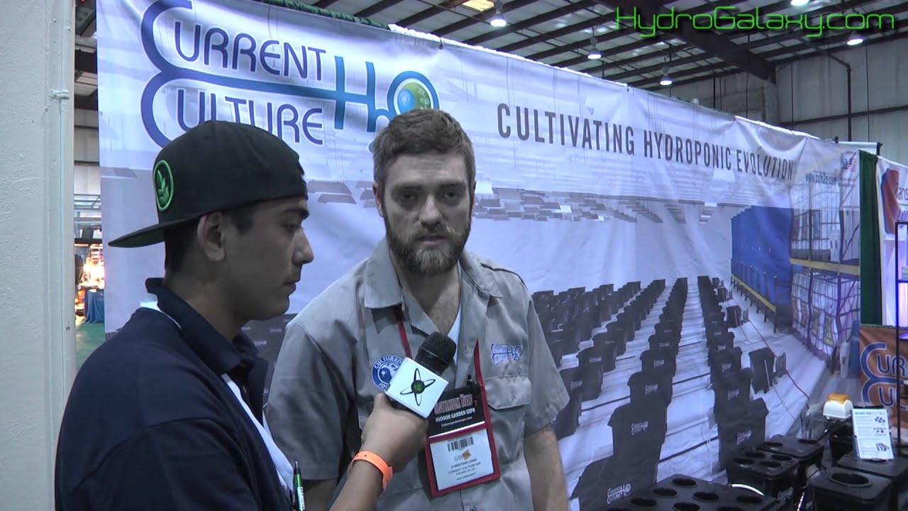 Max Yield SF 2014: Current Culture H20