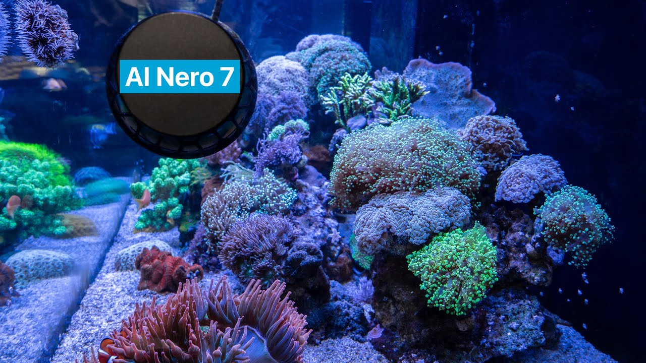 AI Nero 7 - Unique Perspective