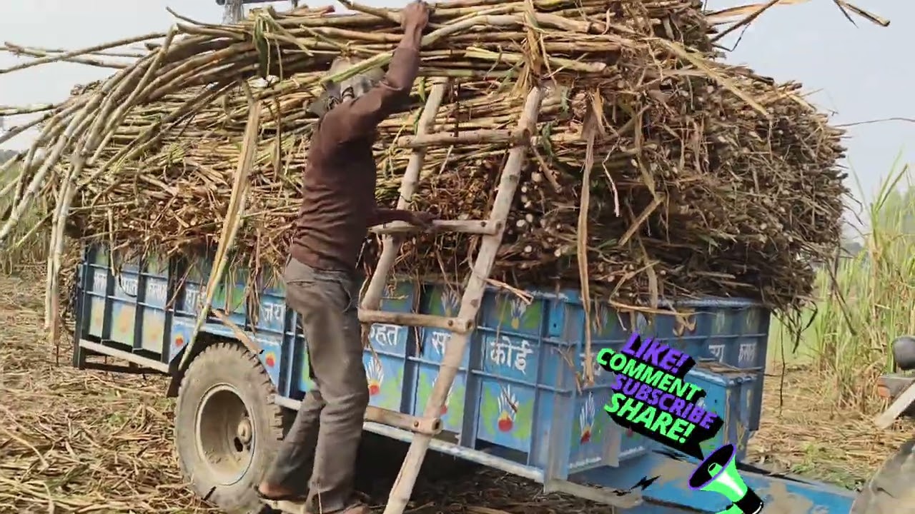 गन्ने के खेत में मौज😀😀#youtuber#trending #viral #farmer#automobile #farming 