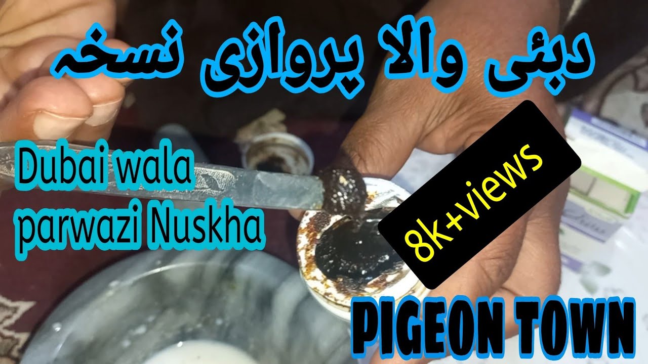 Kabootar ki parwaz ka desi nuskha| Dubai wala parwazi nuskha | parwazi majoon ka nuskha| pigeon town
