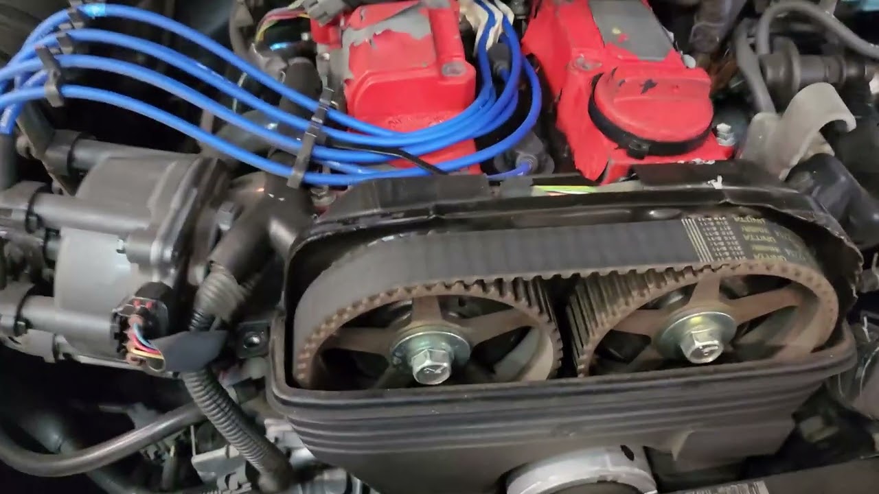Lexus SC300 Timing Belt Inspection
