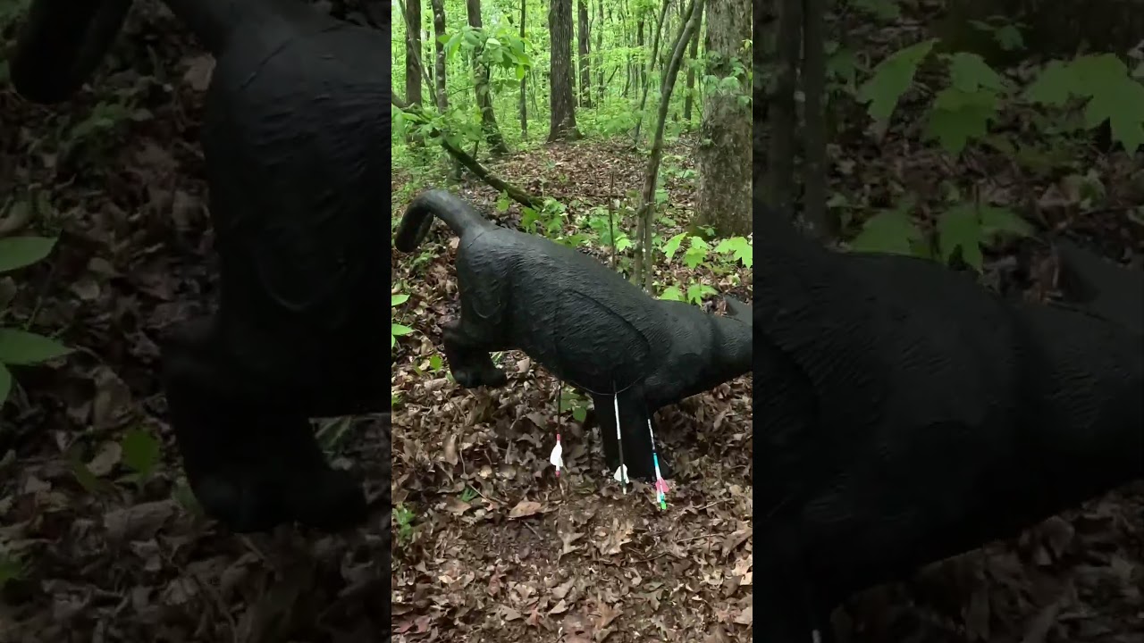 Total Archery Challenge - Please don’t hit the tree 🙏🏼 