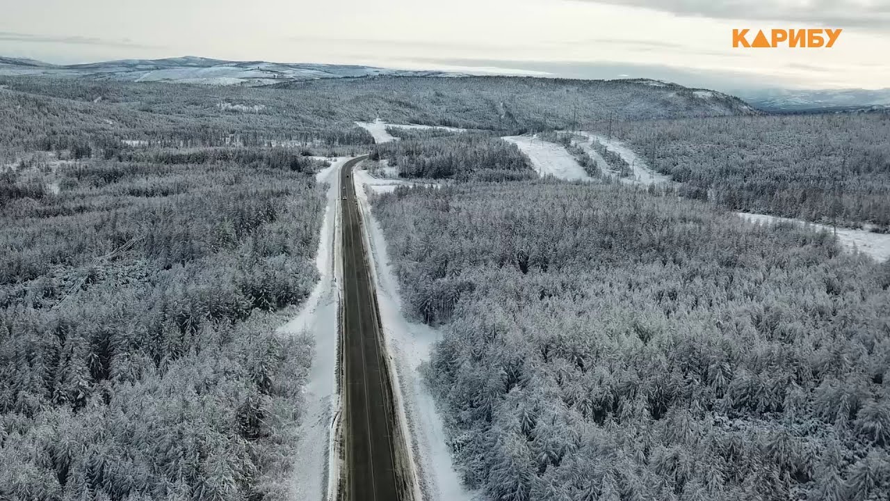 С колымским перевозчиком могут расторгнуть госконтракт из-за семи невыполненных рейсов