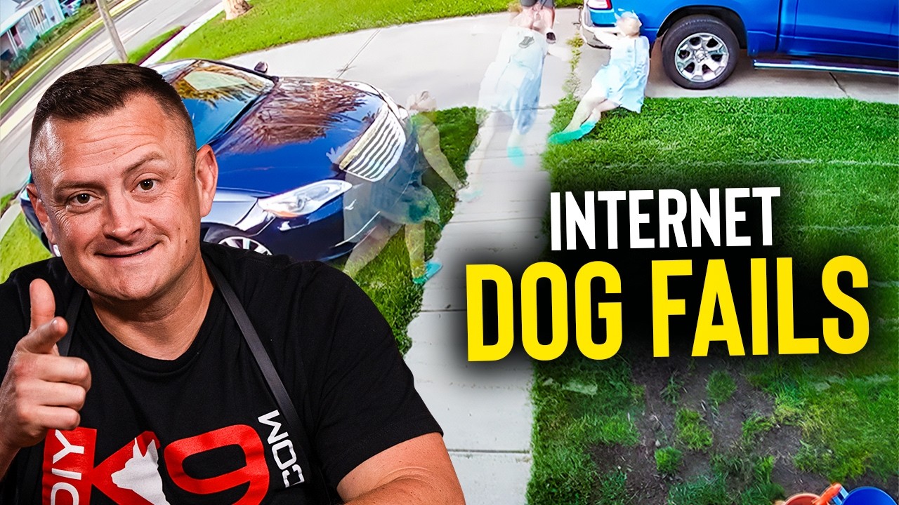 Dog Trainer Reacts To The Internet's WILDEST Dog Videos!