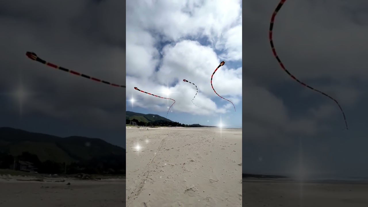longest tail snake 🐍 kite | saranggola | layang-layang ular ekor terpanjang
