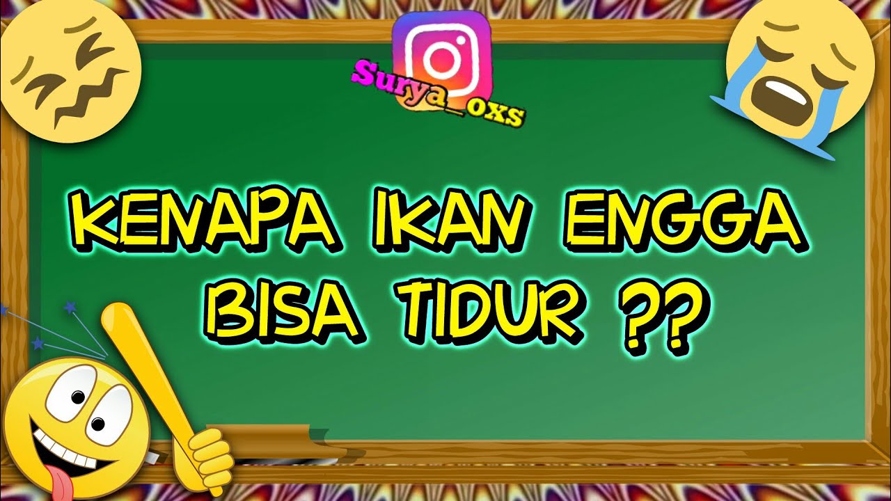 10 Teka Teki Lucu dan Menjebak Part 10 #Kuiz Jenius #Tes Jenius