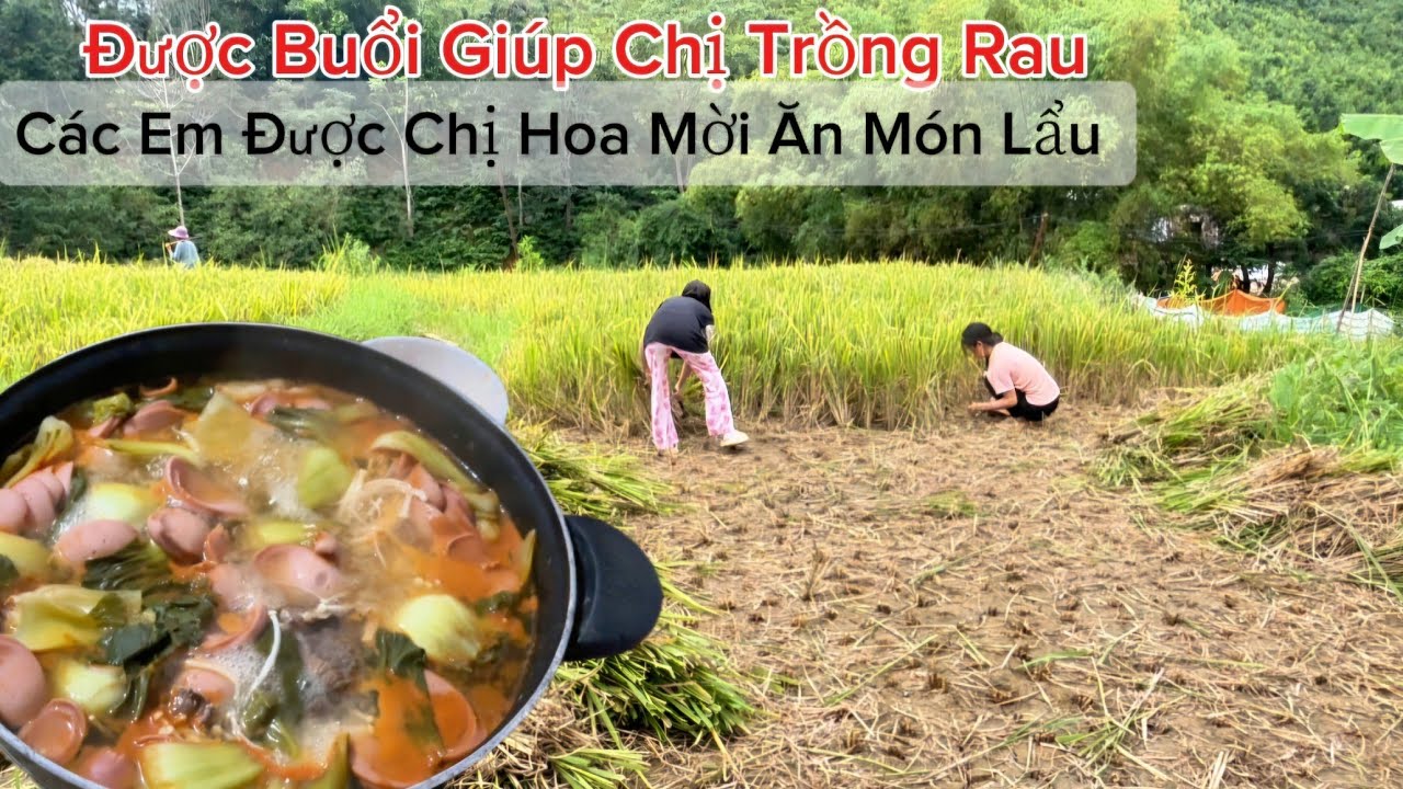 HAI EM G&Aacute;I VUI VẺ ĐI GI&Uacute;P CHỊ HOA TRỒNG RAU, LIỀN ĐƯỢC MỜI ĂN LẨU 