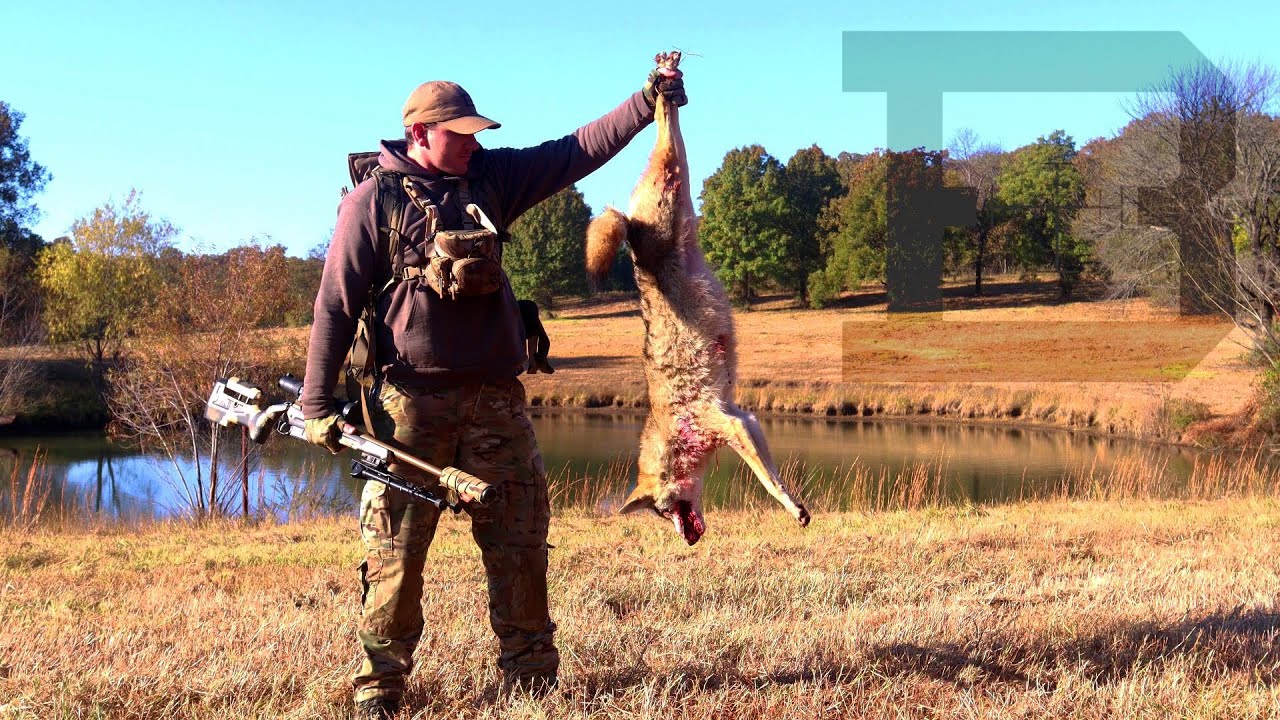Self Filmed Coyote Kill w/ Suppressor! 4K FOOTAGE!!