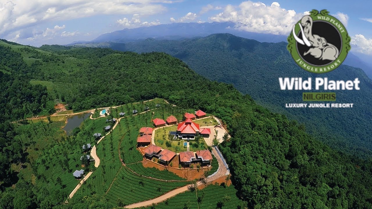 Wild Planet Luxury Jungle Resort, Devala Nilgiris - Review by Tech Travel Eat