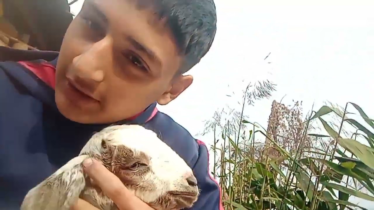  Village Home tour 🏡🏡