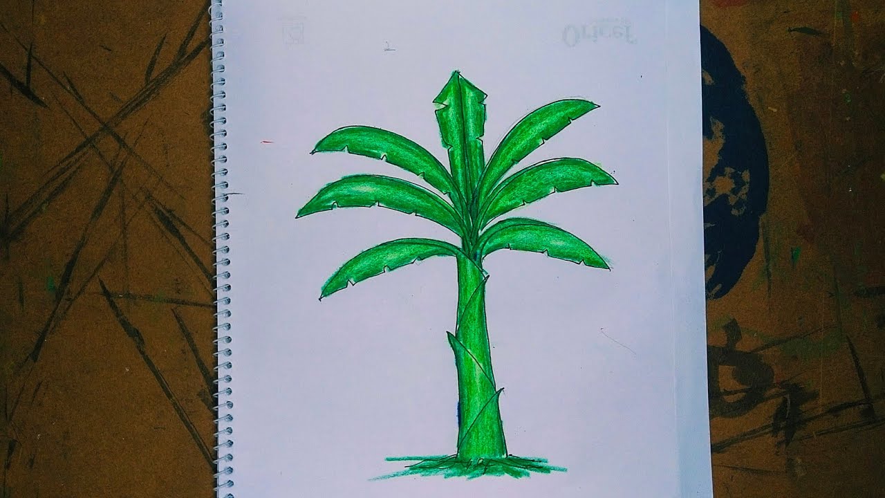 কলা গাছ আঁকা ll How to draw a banna tree 2024 #কলাগাছ