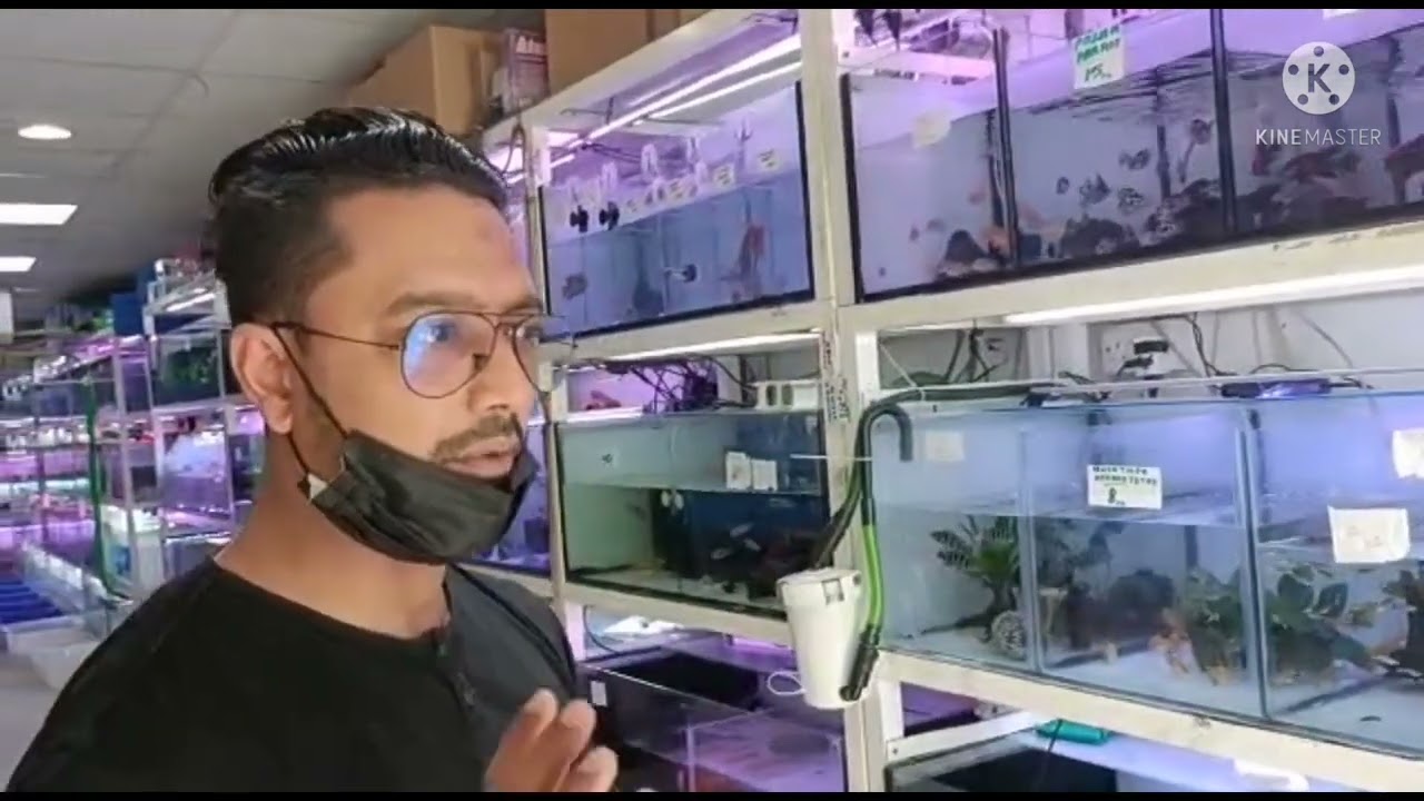 ajman aquarium🐟🐟 #youtube #fyp #video #khanjeeworld